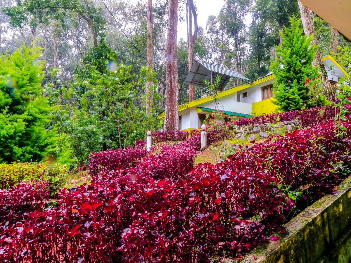 Oyo 4651 Woodpecker Resort Munnar Exterior foto